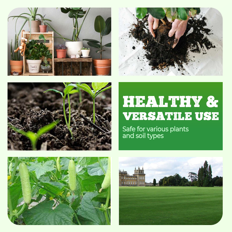 High Concentration Eco-Friendly Compost Bacteria