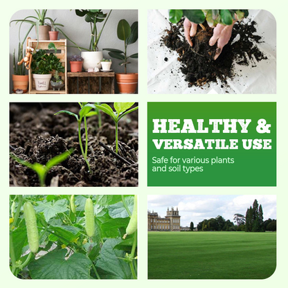 High Concentration Eco-Friendly Compost Bacteria