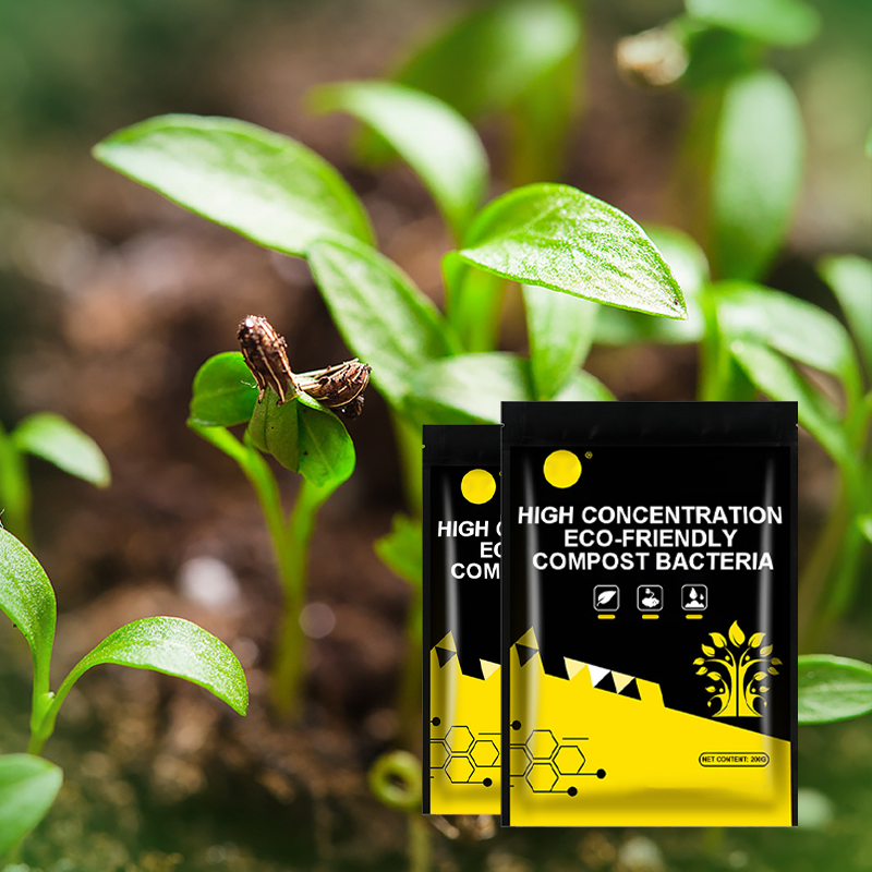 High Concentration Eco-Friendly Compost Bacteria