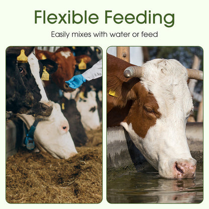 Livestock & Poultry Nutritional Additives