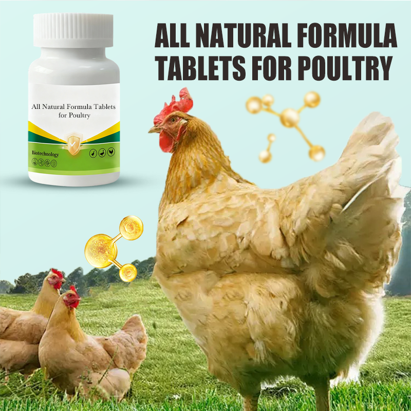 All Natural Formula Tablets for Poultry