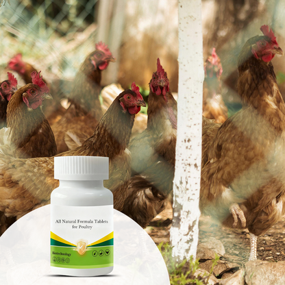 All Natural Formula Tablets for Poultry