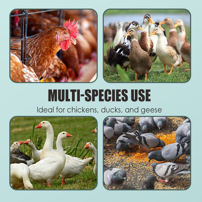 All Natural Formula Tablets for Poultry