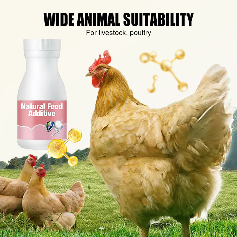 Natural Feed Additive for Poultry