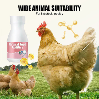 Natural Feed Additive for Poultry