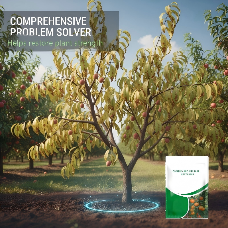 Controlled-Release Fertilizer for Fruits