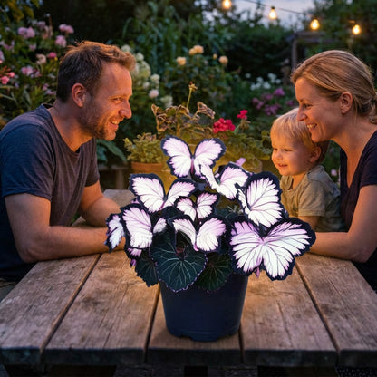 🦋 Whimsical Butterfly Shaped Flower Seeds ✨