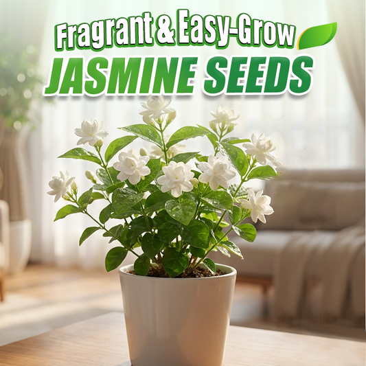 Fragrant & Easy-Grow Jasmine Seeds with Fertilizer