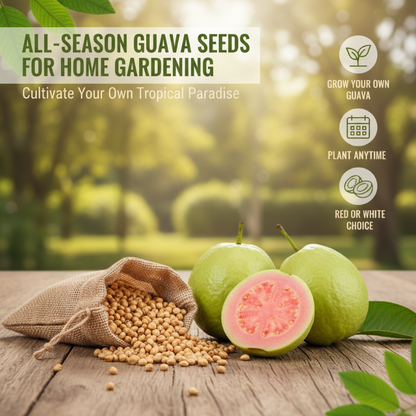 20+ Guava Tree Seeds for Planting