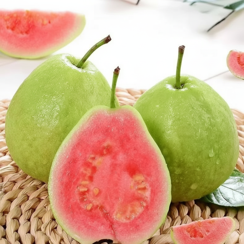 20+ Guava Tree Seeds for Planting