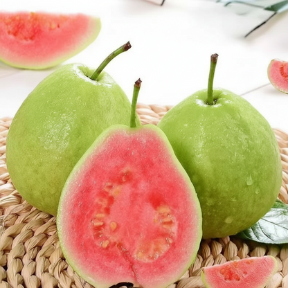 20+ Guava Tree Seeds for Planting