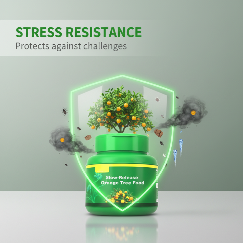 Slow-Release Orange Tree Food