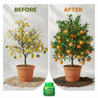 Slow-Release Orange Tree Food