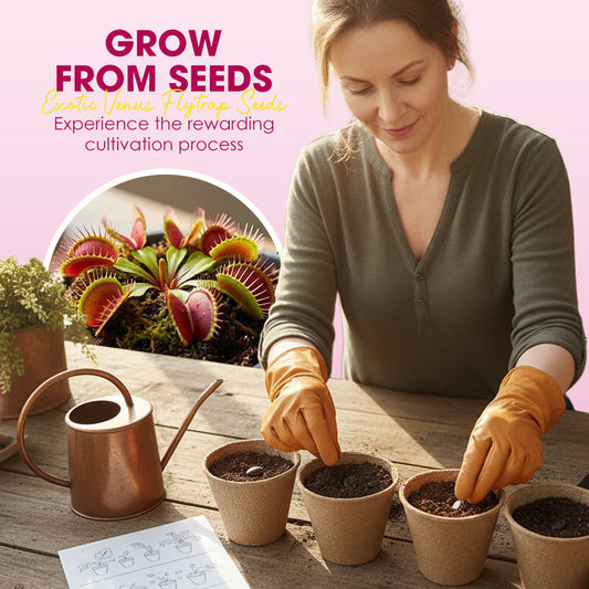 Exotic Venus Flytrap Seeds