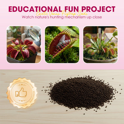 Exotic Venus Flytrap Seeds