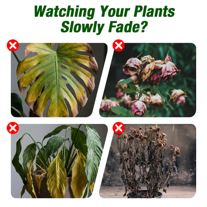 Plant Growth Liquid for Seedlings & Cuttings