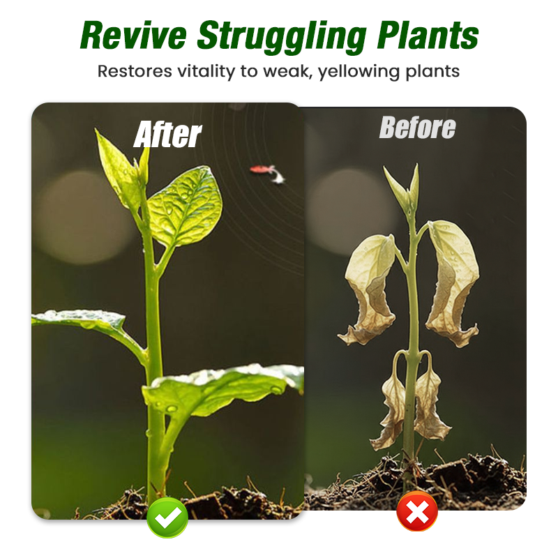 Plant Growth Liquid for Seedlings & Cuttings