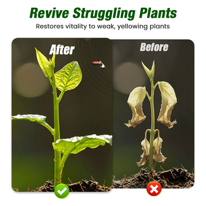 Plant Growth Liquid for Seedlings & Cuttings