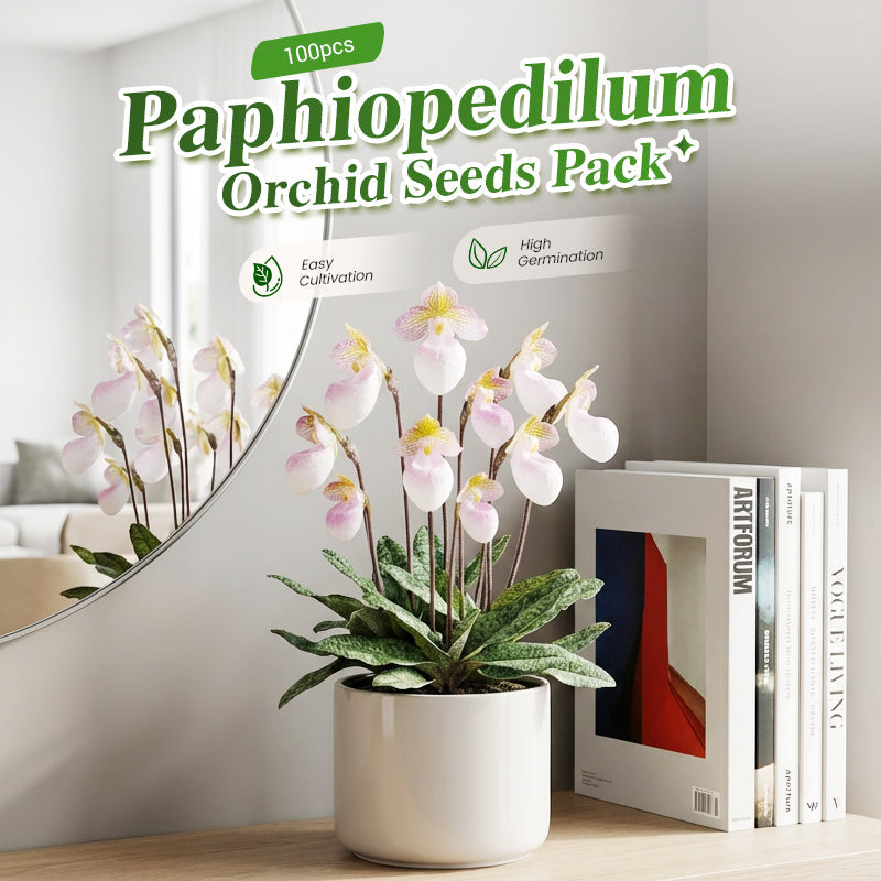 100pcs Paphiopedilum Orchid Seeds Pack