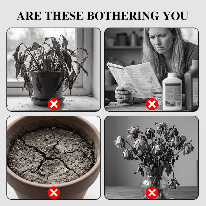 100pcs Paphiopedilum Orchid Seeds Pack