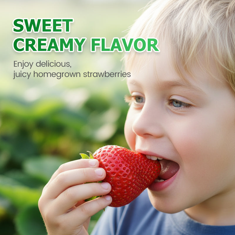 Easy-to-Grow Strawberry Seeds