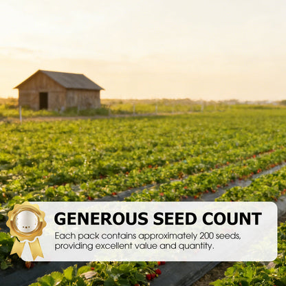 Easy-to-Grow Strawberry Seeds