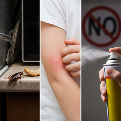 Plant-Based Insect Repellent Gel for Home