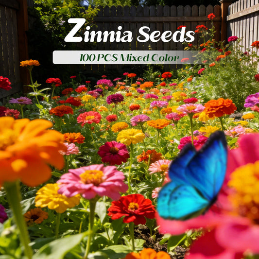100 PCS Mixed Color Zinnia Seeds