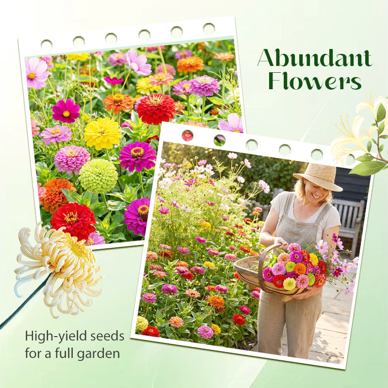 100 PCS Mixed Color Zinnia Seeds